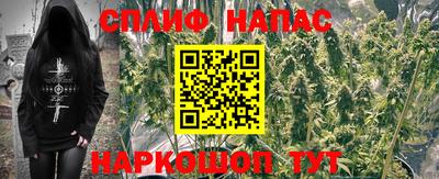 СК Коммунар