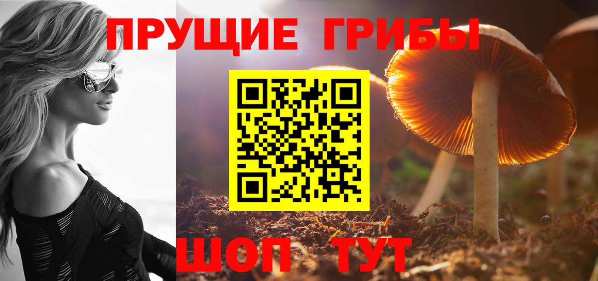Псилоцибиновые грибы прущие грибы  Вход с VPN  Ковров 